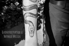 289697286_5024753374321029_8192177900893285772_n